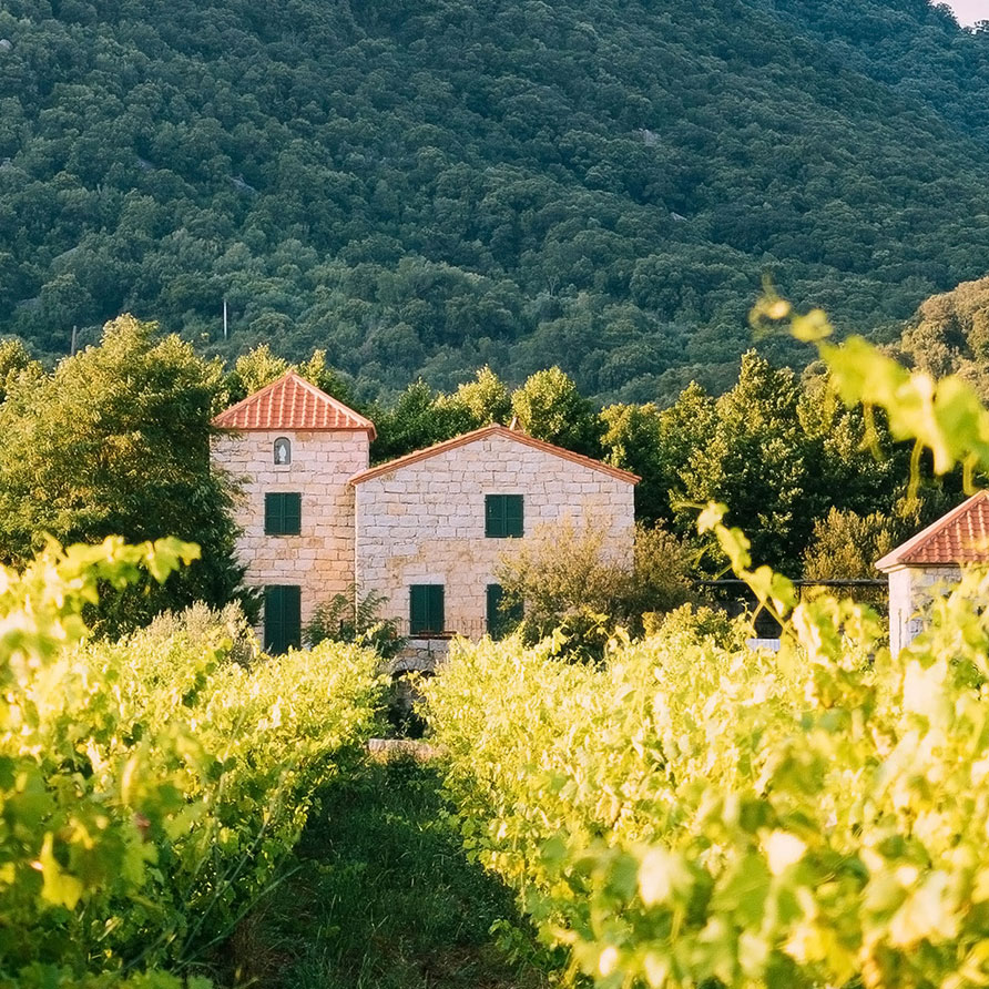 Villa bastilicata grande